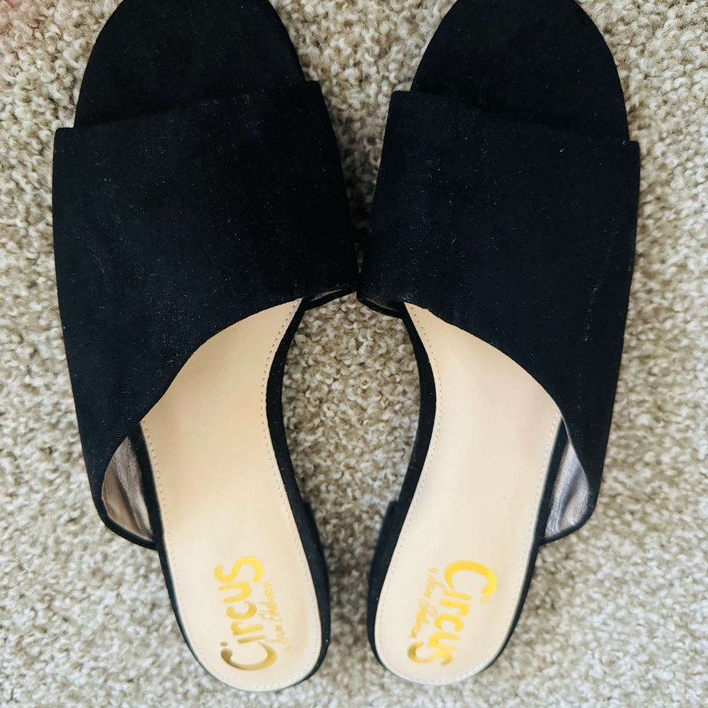 Circus by Sam Edelman Black Suede Mules Women’s 8